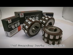 Koyo 612 0608 YSX Nylon Cage Roller Bearing 6120608YSX Eccentric Bearing