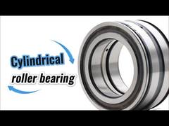 Vòng bi tang trống hai hàng SL045010-D-PP SL045010PP