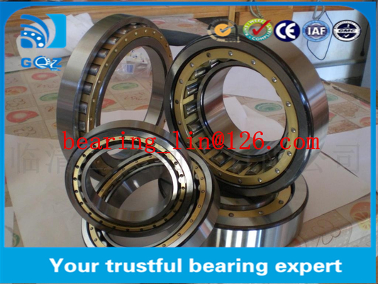 Xương xích đầy đủ Xương xích cuộn xi lanh ZARN2557-TV 57mm Diameter Otside