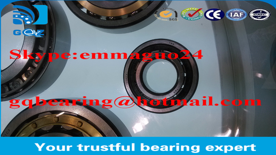 Xây dựng vòng bi chuồng nylon NJ2310ETN / P6C4 / BTW NSK GQZ