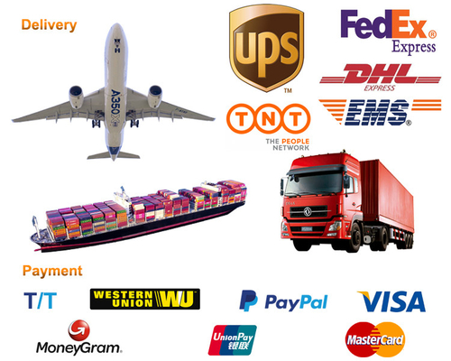 Lối xích ô tô chính xác cao cho máy kéo và ô tô 2557181 Và 2557182