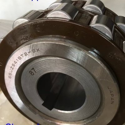 65UZS418T2X-SX-87 Vòng xích cuộn hình trụ với vỏ 65UZS418 Vòng xích chuồng nylon