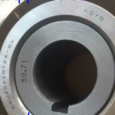 65UZS418T2X-SX-87 Vòng xích cuộn hình trụ với vỏ 65UZS418 Vòng xích chuồng nylon