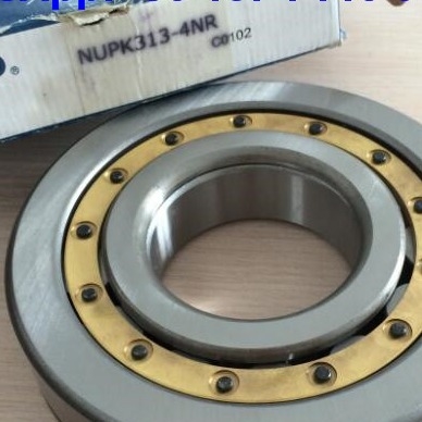 NUP313-4N Lối xích cuộn hình trụ NUPK313-4NRS02C3 Lối xích cuộn với vòng snap