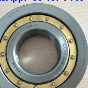 NUP313-4N Lối xích cuộn hình trụ NUPK313-4NRS02C3 Lối xích cuộn với vòng snap