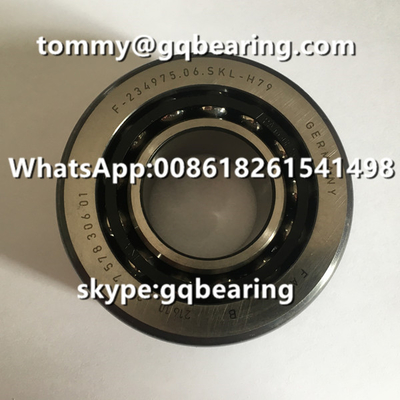 Vật liệu thép Chrome FAG F-234975.06 F-234975.06.SKL-H79 BMW khác biệt xe hơi