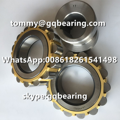 TRANS621 Xương xích đặc TRANS 621 Xương xích chuồng bằng đồng Xương xích chuồng cho máy giảm tốc