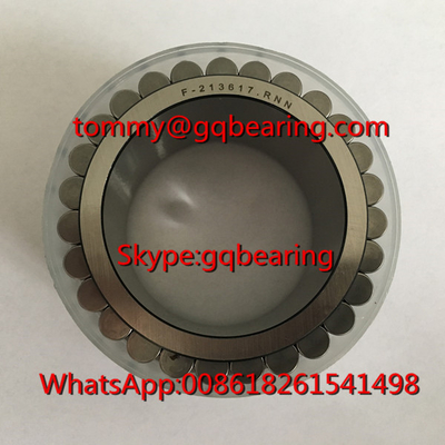 Gcr15 Vật liệu thép F-213617.RNN Vòng đệm cuộn hình trụ hai hàng không lồng