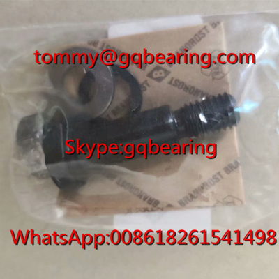 Đức gốc Gcr15 Vật liệu thép INA LFE12x45-A1 Tạp chí Bolt lập dị cho vòng bi lăn đường ray LFR