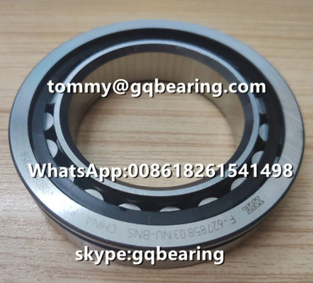 VW AG INA F-627858.03.NU-BNS Vật liệu thép Chrome có vòng bi cuộn hình trụ